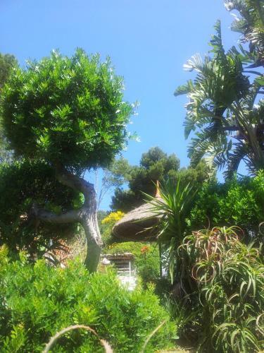 Finca Cactus Mhm
