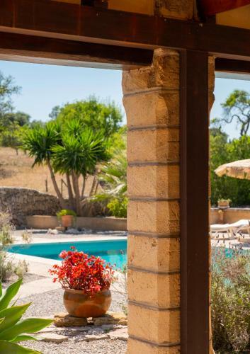 Finca Paradis Mhm