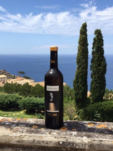 Agroturismo Banyalmar