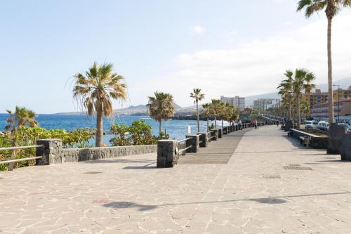 Apartamento Live Candelaria Alsaca