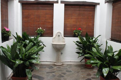 Apartamentos Rurales Rosendo: La Madre Selva