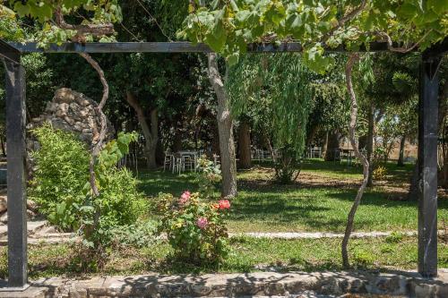 Apartamento La Jandeta 5