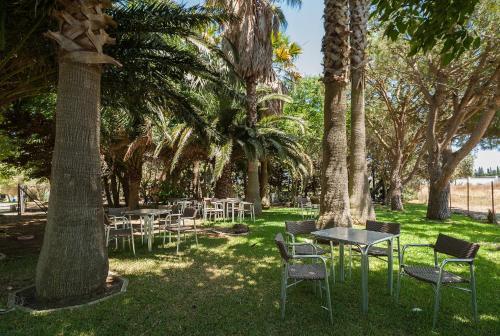 Apartamento La Jandeta 5