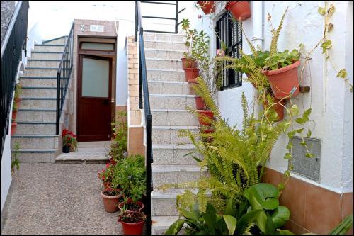 Apartamento J�bega