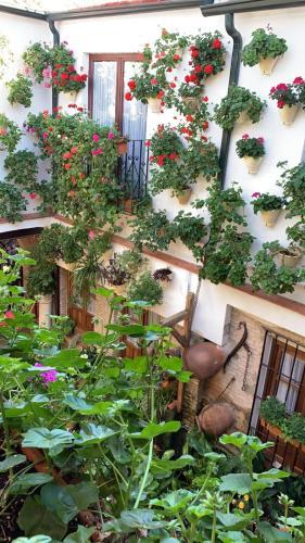 La Sultana Apartamentos