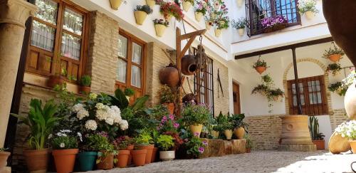La Sultana Apartamentos