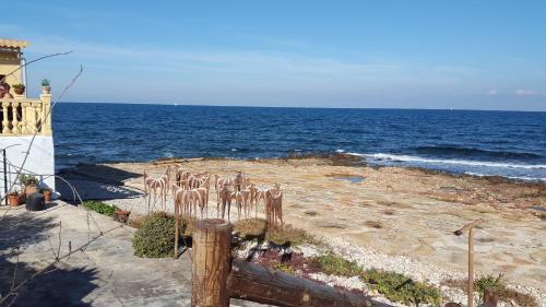 Apartamento Estrella Blanca 2
