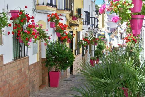Apartamento Villacana 2231