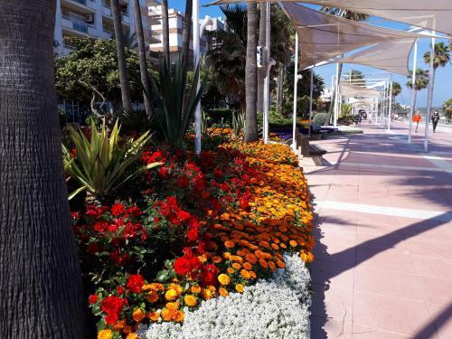 Apartamento Valle Romano 2245