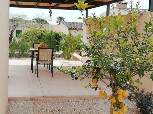 Agroturismo Son Capellot