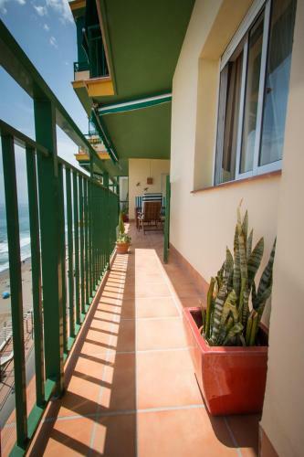 Apartamento Holidays2carvajal Sea Side