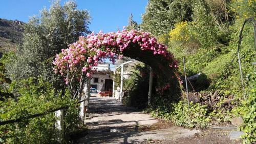 Agroturismo Cortijo Las Tres Rosas