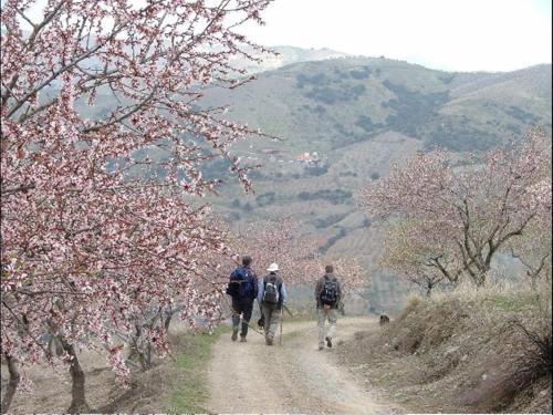 Agroturismo Cortijo Las Tres Rosas
