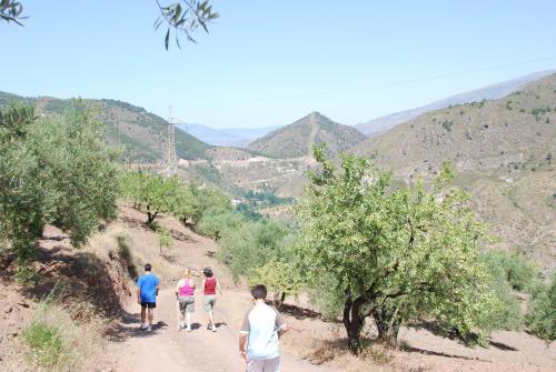 Agroturismo Cortijo Las Tres Rosas