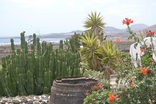 Casita Verde