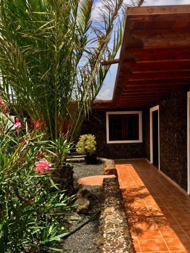 Casita Verde