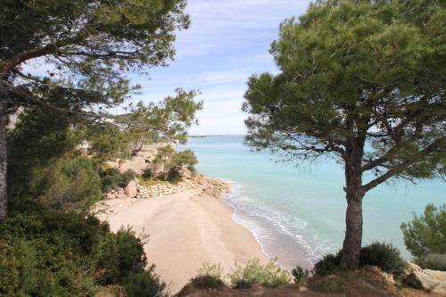 Arenda Apartamento Playa D'or