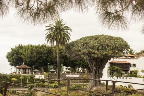 Canary Dreams Apartments