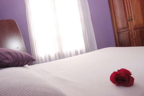Icod Sun Apartments