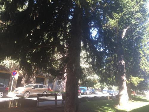 Apartamento �tico Balcon De Jaca II