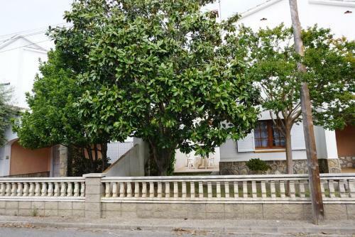 Termes Park