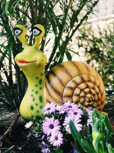 Glamping Lodge Estartit