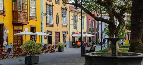 Apartamento Live La Laguna Maya