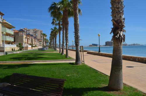 Apartamento Playa Principe - 6507