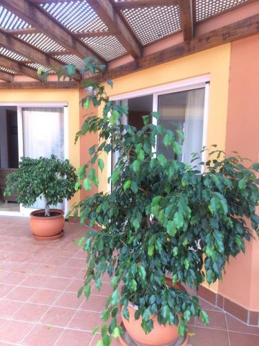 Villa Paola Corralejo