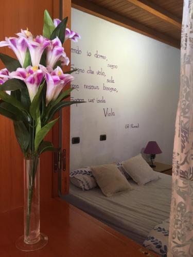 Villa Goyita Hostel