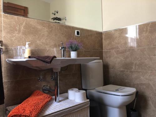 Vivienda 3d, Terraza-jard�n