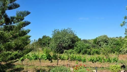 Villa Finca Cavall De Mar