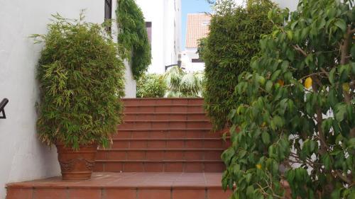 Apartamento Puerto Banus La Maestarnza