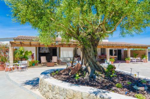 Villa Son Vanrell