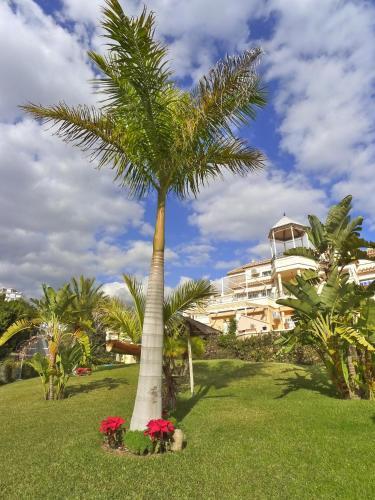 Apartamento Jardines De Burriana