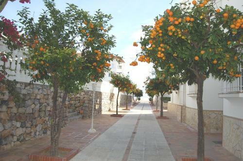 Apartment Fuentes De Nerja