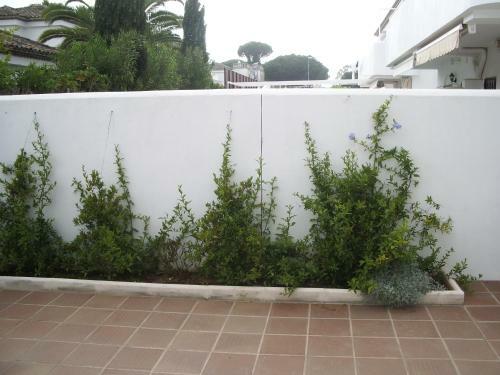 Apartamento De Tres Dormitorios En La Barrosa