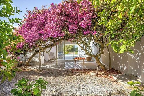 Playa De Talamanca Villa Sleeps 4 Pool Air Con Wifi
