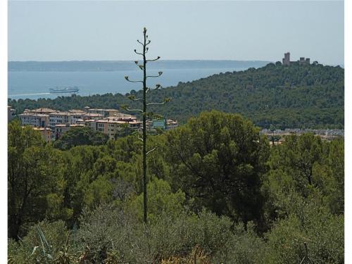 Six-bedroom Holiday Home In Palma De Mallorca