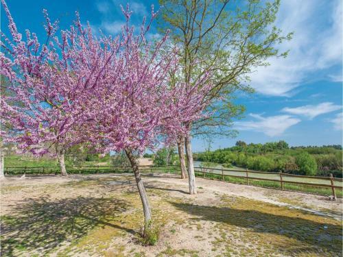 Three-bedroom Holiday Home In Penaflor