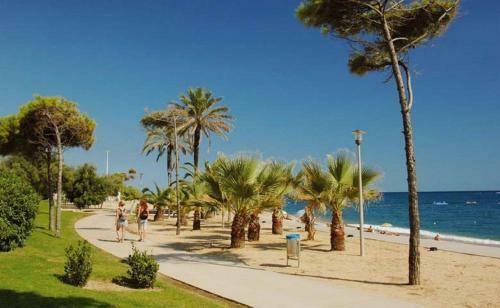 Apartamento Pineda Beach Penthouse II