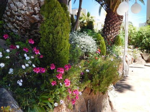 Apartamento Treumal Cala Rovira