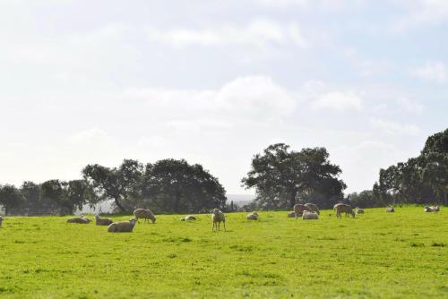 Agroturismo Cortijo La Panadera
