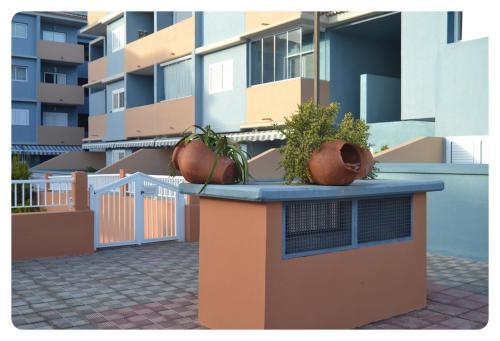 Apartamento Live Puertito San Borondon