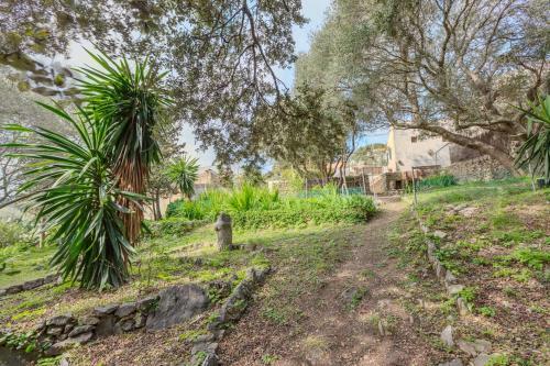Villa Del Pintor - Galilea