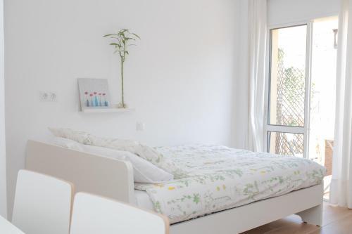 Apartamento Homey East Seaside Studio