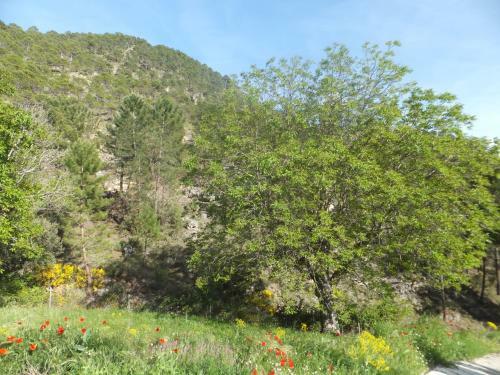 Agroturismo La Limonera