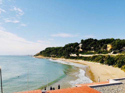 Apartamento Roda De Bara