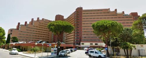 Apartamento Vacances Location Isla Rosas 00-08 (h1)