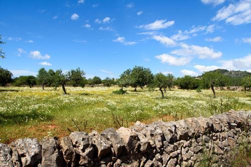 Villa Finca Sa Pletassa